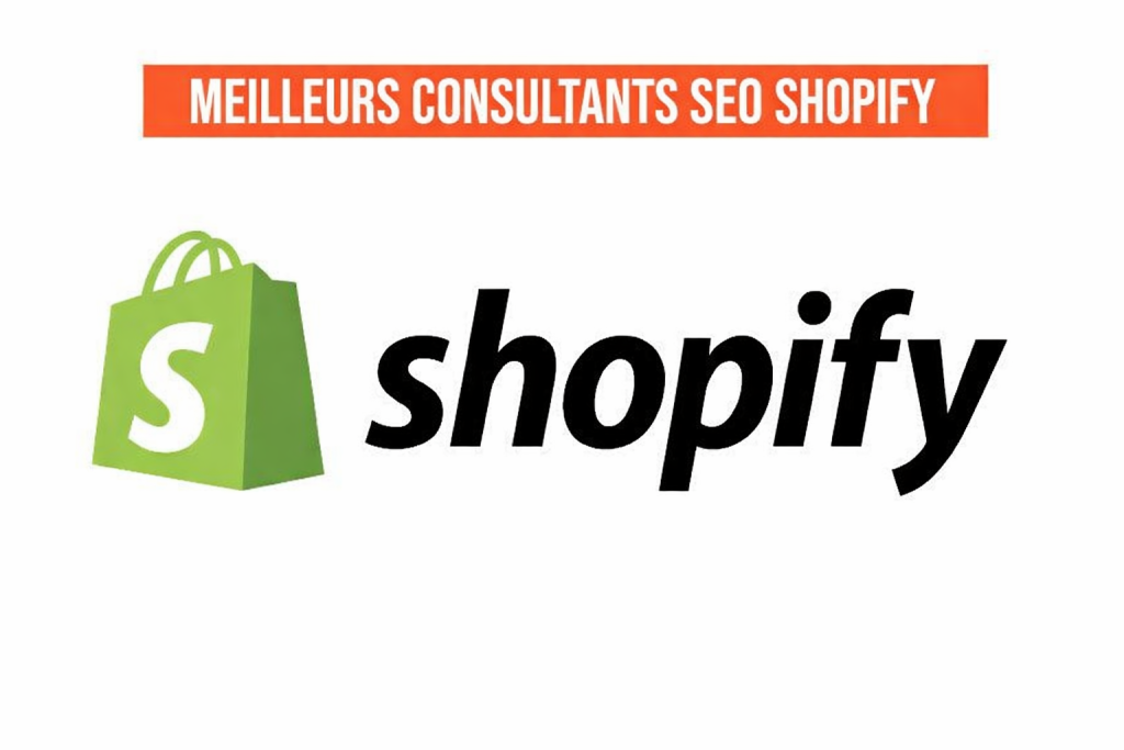 meilleurs consultants seo shopify